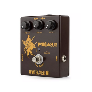 Педаль эффектов Caline CP-43