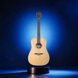 Акустическая гитара Mariachi D-RW 45