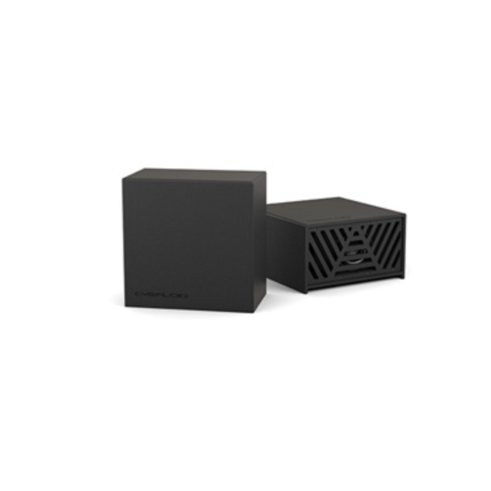 Сабвуфер трансляционный корпусной CVGaudio SUBone model C5-V2-UNI/BL