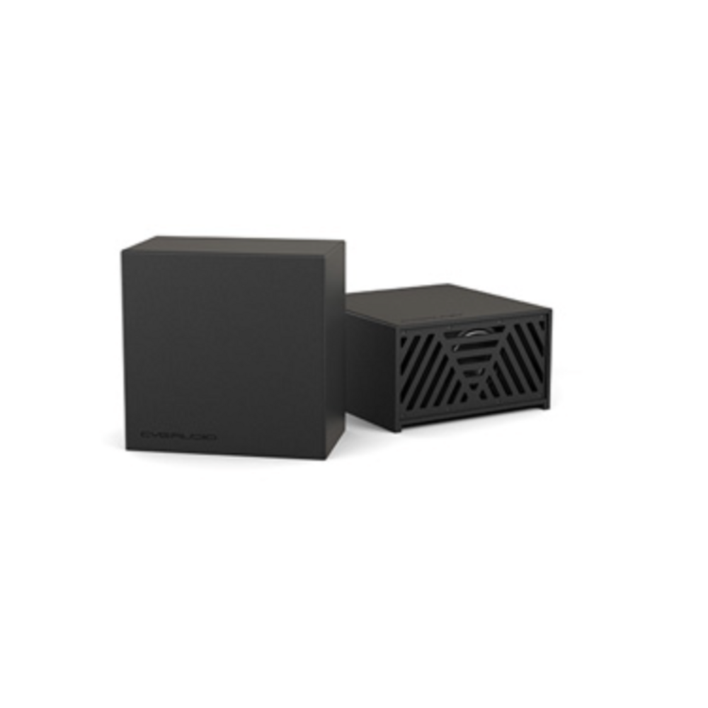 Сабвуфер трансляционный корпусной CVGaudio SUBone model C6-V2-UNI/BL