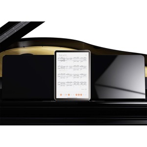 Рояль цифровой Roland GP 9M PE