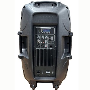 Активная акустическая система Xline PRA-15A