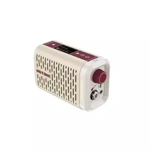 Комбоусилитель гитарный Hotone Pulze Mini
