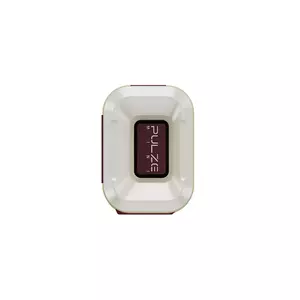 Комбоусилитель гитарный Hotone Pulze Mini