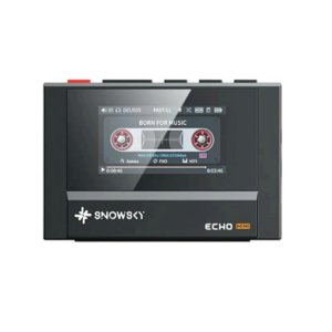 Портативный плеер FiiO SnowSky Echo (F4402E) black
