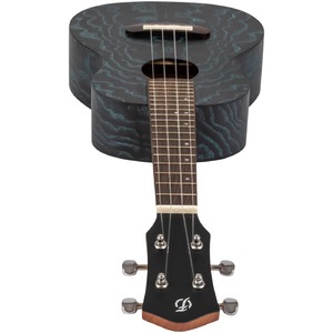Концерт Flight DUC400 Ash Blue