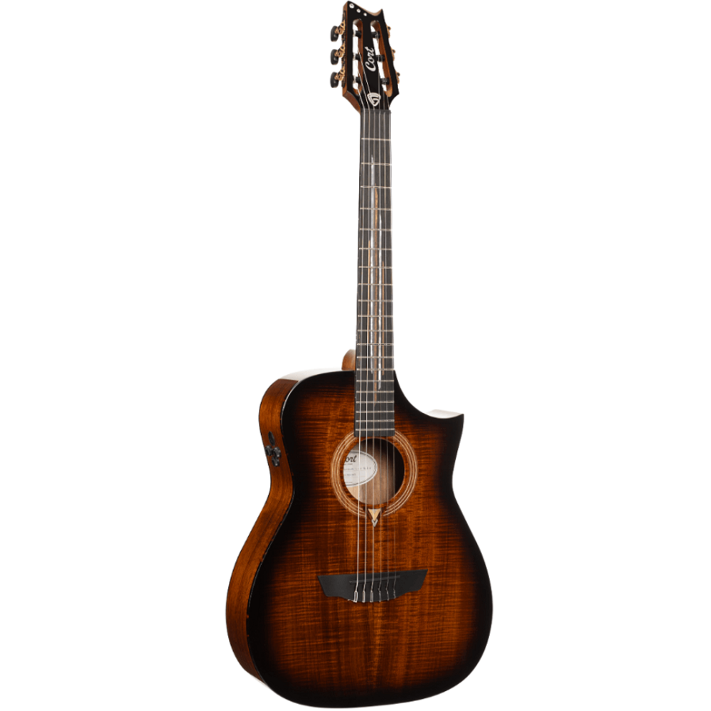 Электроакустическая гитара Cort LUXE-NYLON-II-WCASE-BKB