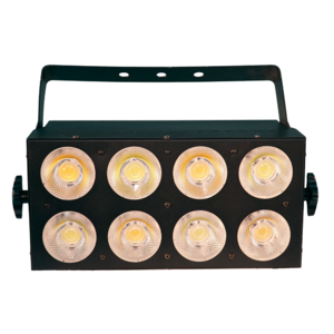 Блиндер PSL Lighting WS-LED231 SL