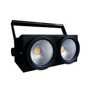 Блиндер PSL Lighting WS-LED233 SL