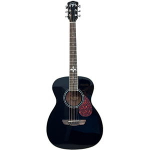 Акустическая гитара Bullfighter D2XD Blueburst With bag