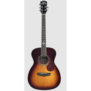 Акустическая гитара Bullfighter D2XD Sunburst With bag