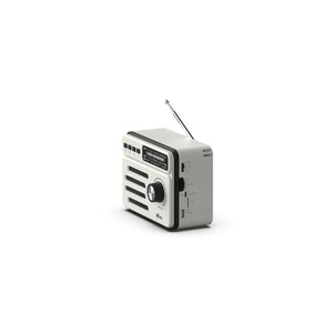 Радиоприемник Ritmix RPR-048 Белый