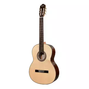 Классическая гитара Tesoro TS3950