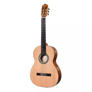 Классическая гитара Tesoro TS3940