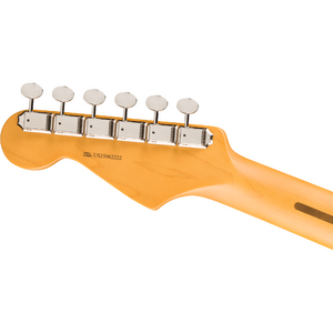 Электрогитара Fender AM PRO Classic Stratocaster HSS MN FLPB