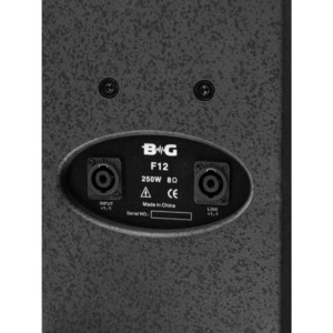 Пассивная акустическая система B&G F12