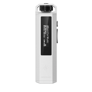 Цифровой плеер Hi-Fi FiiO SNOWSKY ECHO NANO (F4403E) Белый