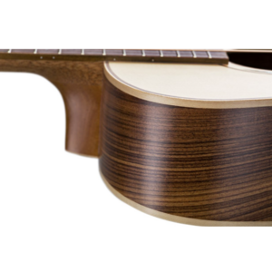 Электроакустическая гитара Baton Rouge AR101S/ACEC-N