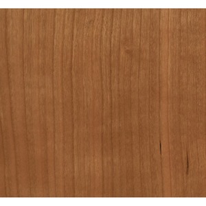 Сабвуфер закрытого типа Dynaudio 600 Cherry
