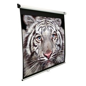 Экран для дома, настенно потолочный с электроприводом Elite Screens M100XWH-E24