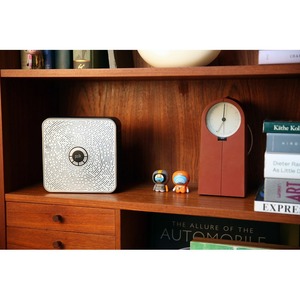 Микросистема Polk Audio Camden Square