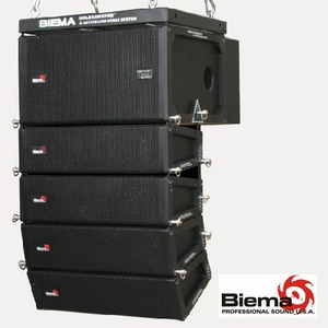 Линейный массив Biema Delta II
