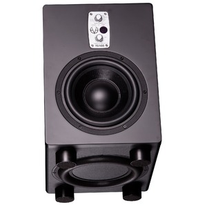 Студийный сабвуфер EVE Audio TS108