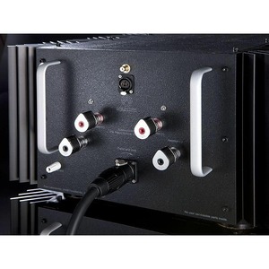Усилитель мощности Pass Labs XS 300