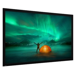 Экран для проектора Projecta HomeScreen Deluxe 16:9 173x296 (157x280 126) HC Sound