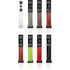 Напольная акустика Audio Physic Classic 30 Black Ash