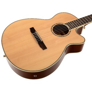 Электроакустическая гитара IBANEZ AEG10NII-NT