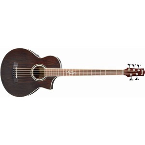 Бас-гитара IBANEZ EWB205WNE-NT