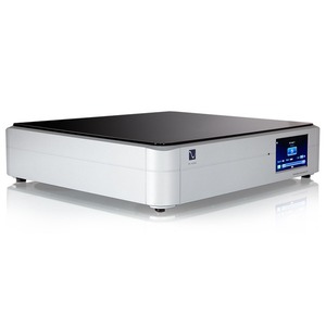 ЦАП транзисторный PS Audio DirectStream DAC with bridge Silver