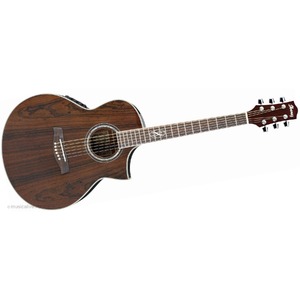 Электроакустическая гитара IBANEZ EW20WNE NT
