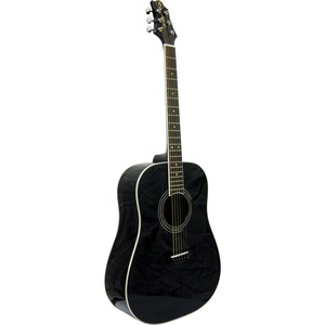 Акустическая гитара GREG BENNETT GD101S/BK