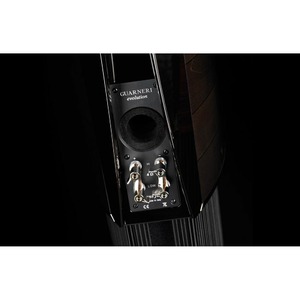 Полочная акустика Sonus Faber Guarneri Evolution Red