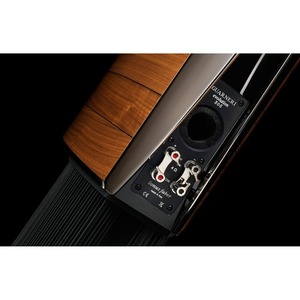 Полочная акустика Sonus Faber Guarneri Evolution Red